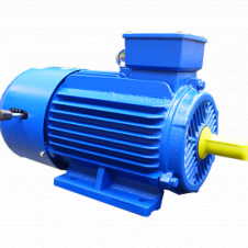 1,5/750 АИР 100 L8 ED2 исп 2081 эл.двигатель с эл.тормозом